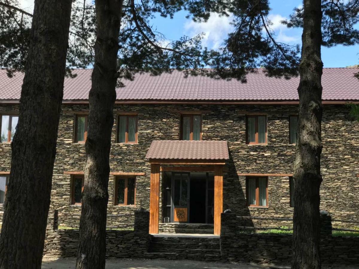 Hotel Complex Nabadi Omalo Екстериор снимка